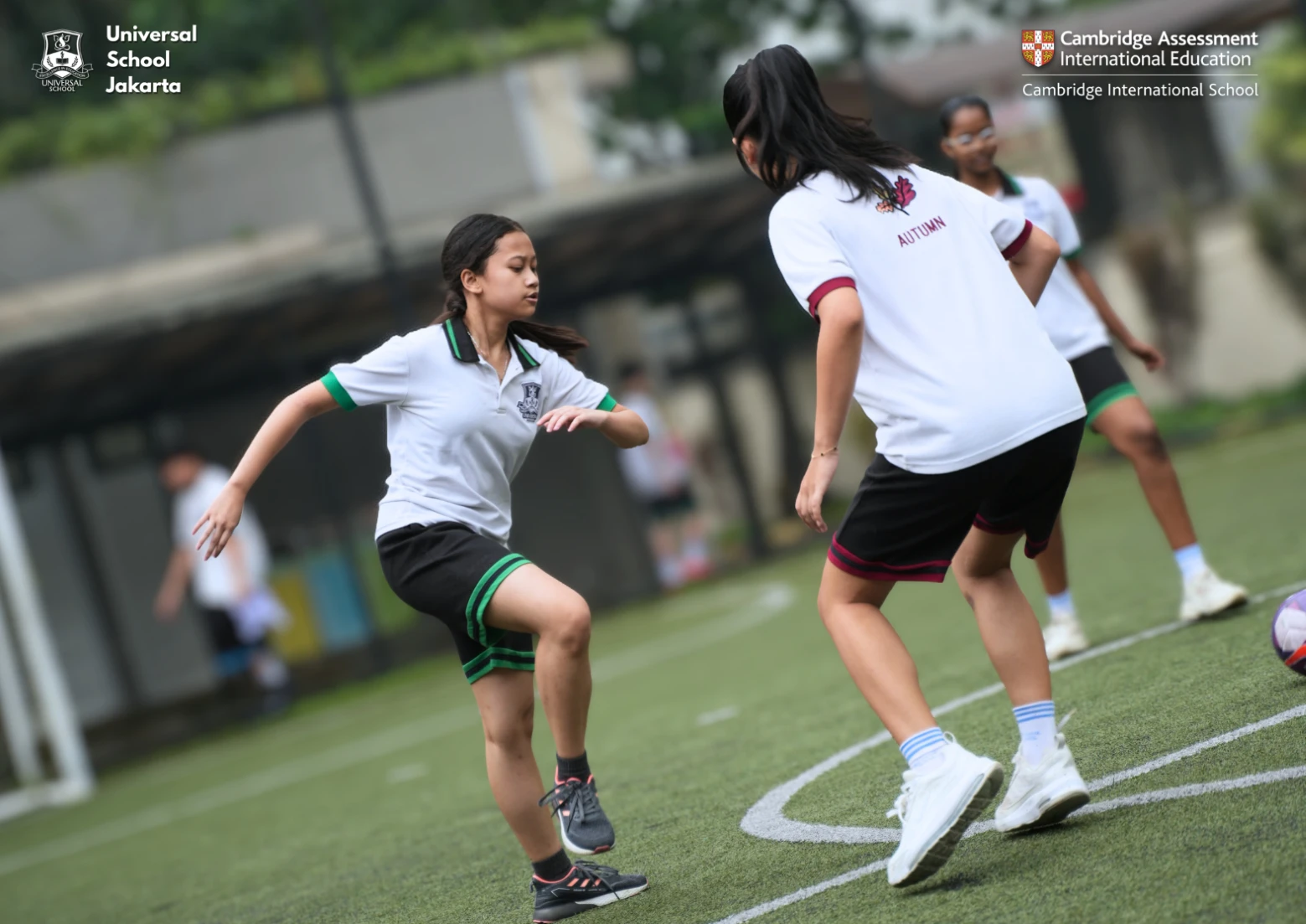Why a Spacious Campus Environment at Universal School Jakarta Improves Learning, Creativity, and Student Wellbeing