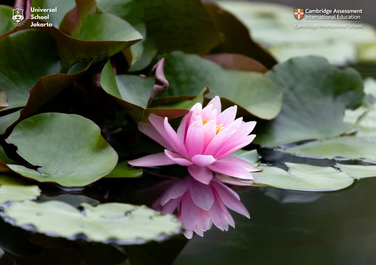 The Role of Self-Reflection in Children’s Emotional Development